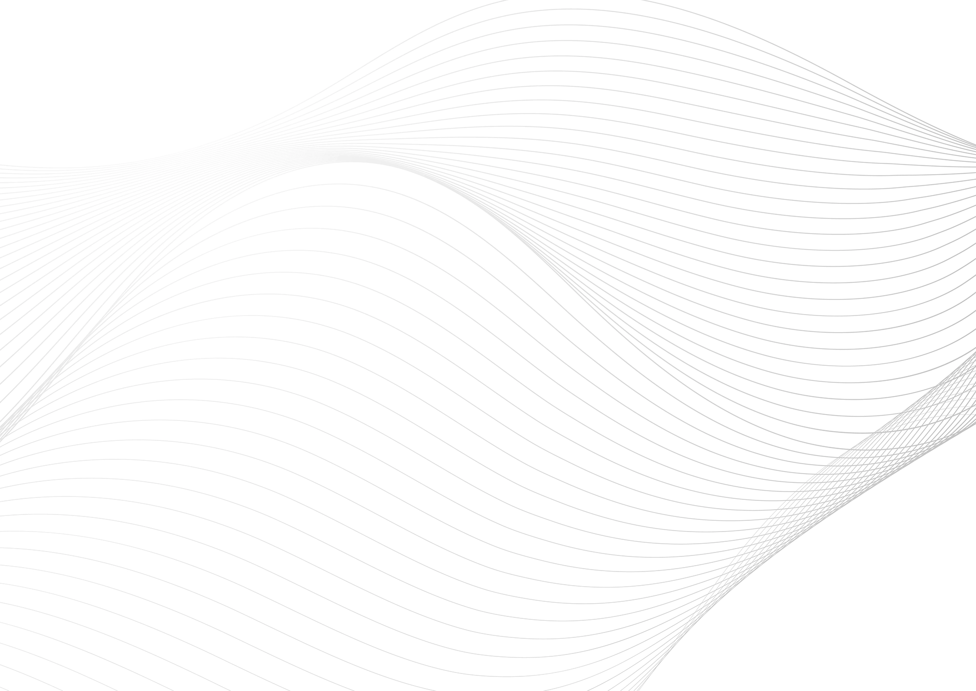 Web Site Tasarımcısı, Divriği